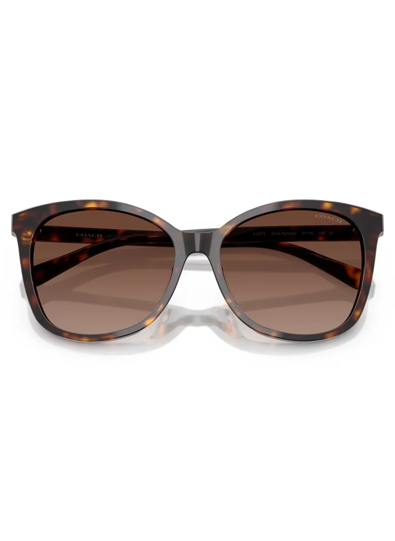 COACH 0HC8271U Shape Sunglasses