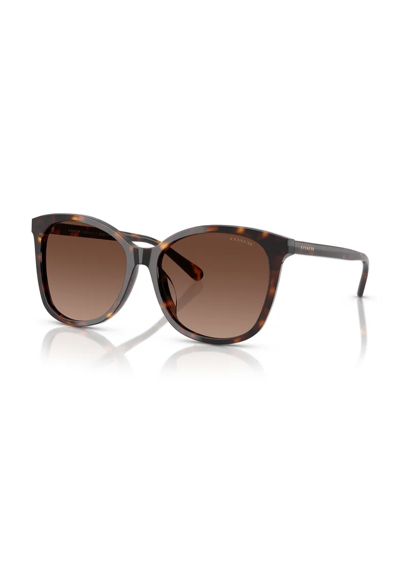 COACH 0HC8271U Shape Sunglasses