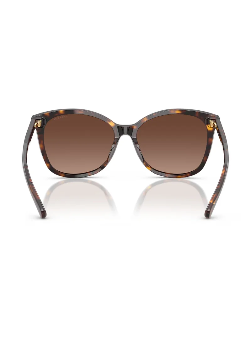 COACH 0HC8271U Shape Sunglasses