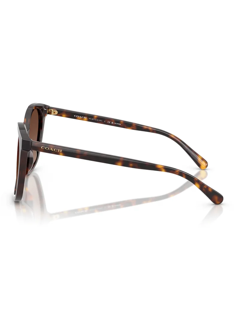 COACH 0HC8271U Shape Sunglasses