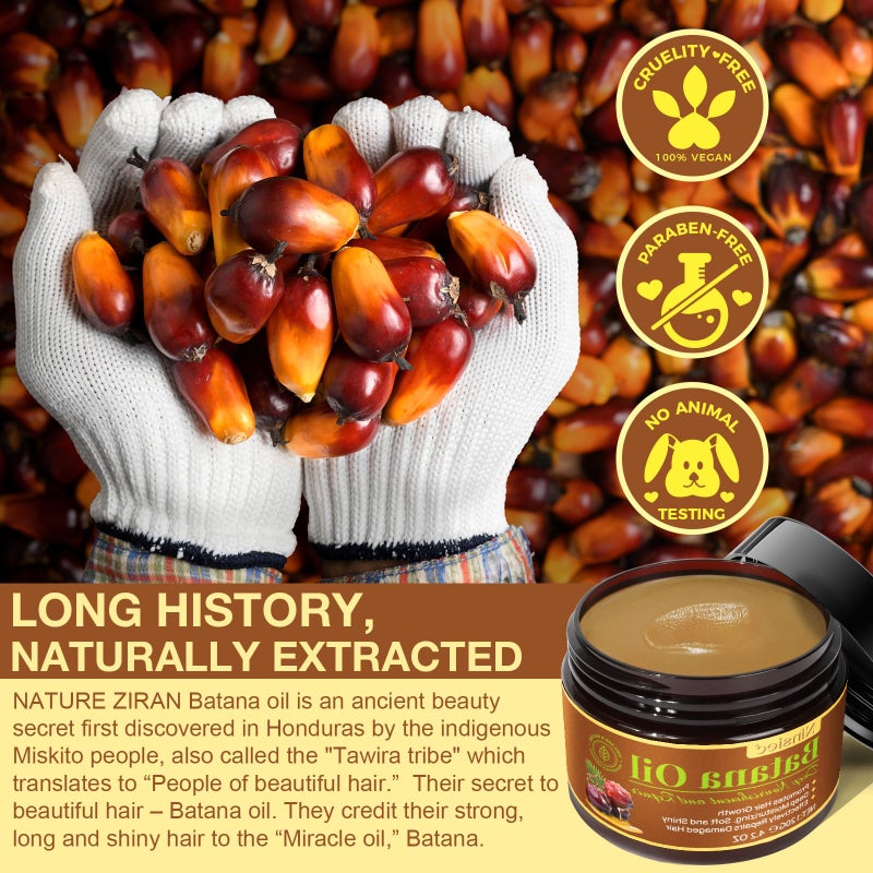 Ninsiec Organic Batana Oil for Hair - Pure Unrefined Oil from Honduras, Helps Strengthen, Hydrate and Repair Damaged Hair, Supports Healthy Looking Hair Growth - Image 4