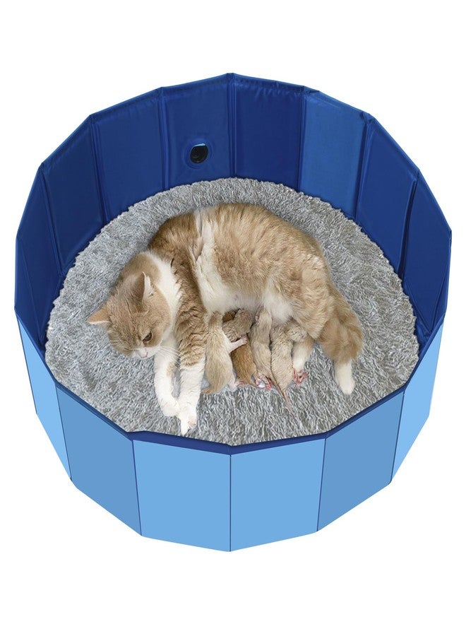HALAGAS Cat Birthing Box, Whelping Box for Cats, Cat Birthing Nesting Boxs, Whelping Pool,Pet Birth Supplies, Foldable Cates Bath Pool, Convenient Storage, Easy to Clean, Can be Used Indoors or Outdoors - Image 1