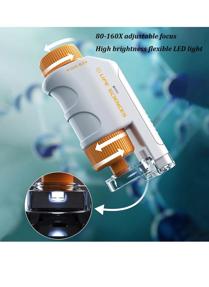 Excefore 80X-160X LED Lighted Pocket Microscope, Portable Mini Microscope, Handheld Miniscope,  for Microbiological Observation Home Study Educational Supplies, with Sliders Kit for Kids (Orange)  - Image 4