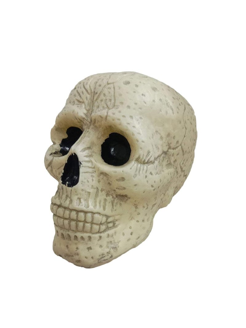 BookMyCostume Big Skull Toy Halloween Ghost Showpiece Decoration Kids Adults Fancy Dress Costume Accessory - Image 2