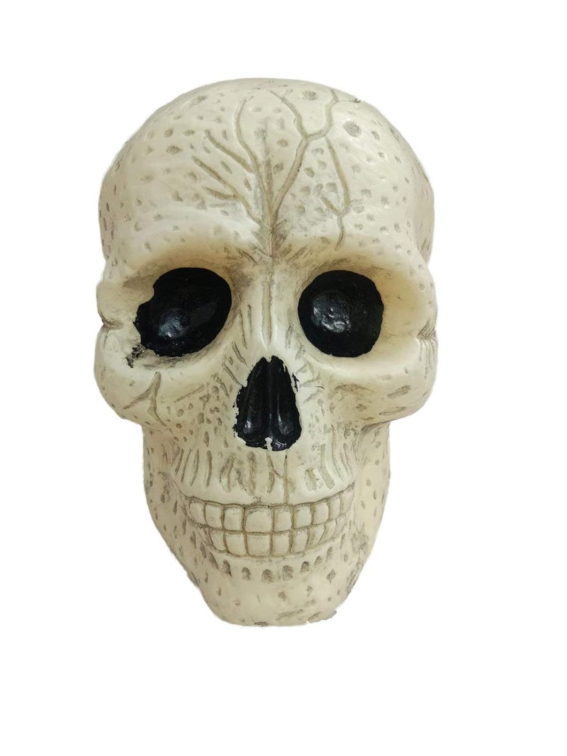 BookMyCostume Big Skull Toy Halloween Ghost Showpiece Decoration Kids Adults Fancy Dress Costume Accessory - Image 1
