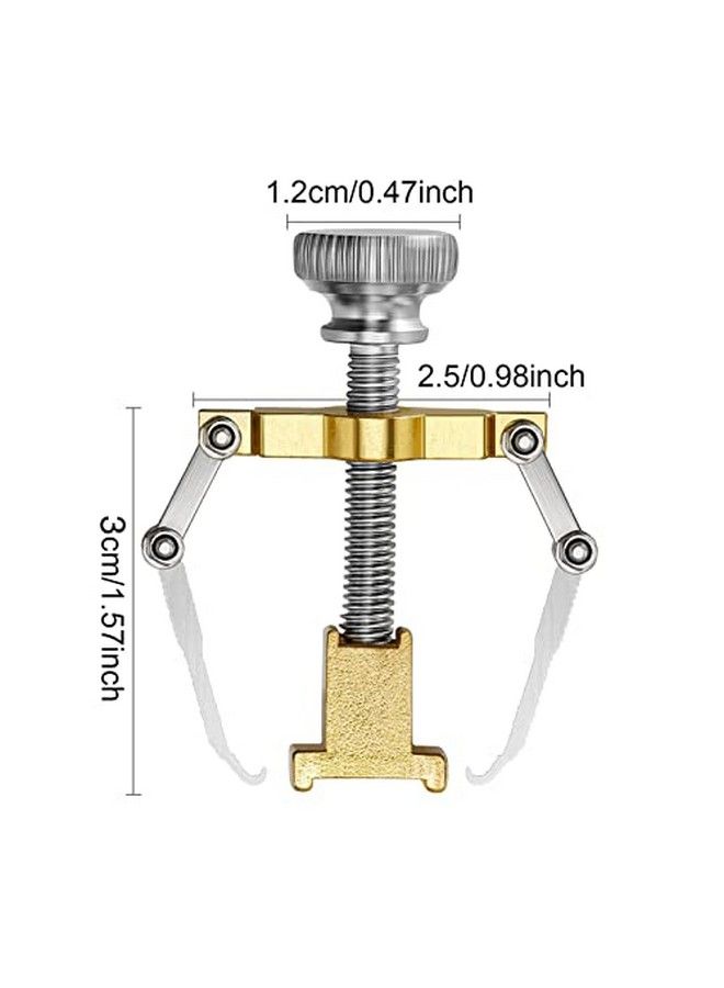 Mudder 2 Pieces Ingrown Toenail Lifter Ingrown Toenail Tool Toe Clamp Stainless Steel Foot Care Tool For Paronychia (Gold) - Image 3