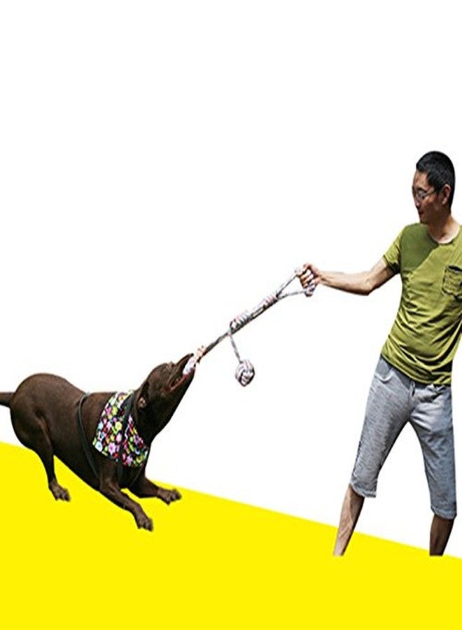 La La Pet Creation Core Double Dog Cotton Rope Balls with Loop Handle Interactive Tug of War Chew Knot Toy for Medium Dogs, Random Color - Image 3