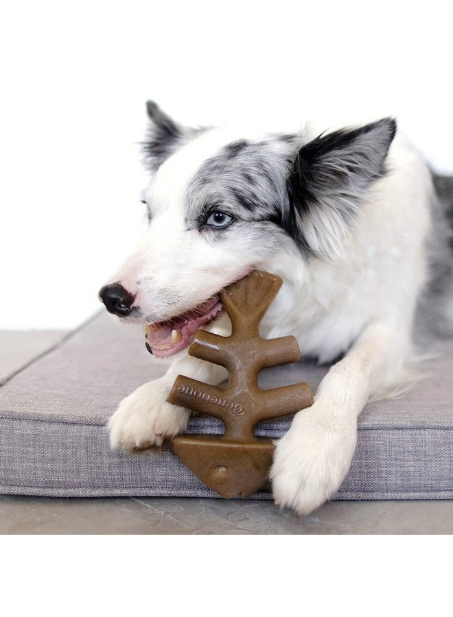 بينيبون مجموعة بينبون متوسطة الحجم من 4 قطع من ألعاب مضغ الكلاب للكلاب العدوانية، صُنعت في الولايات المتحدة الأمريكية، بوزن 60 رطلاً أو أقل - Image 3
