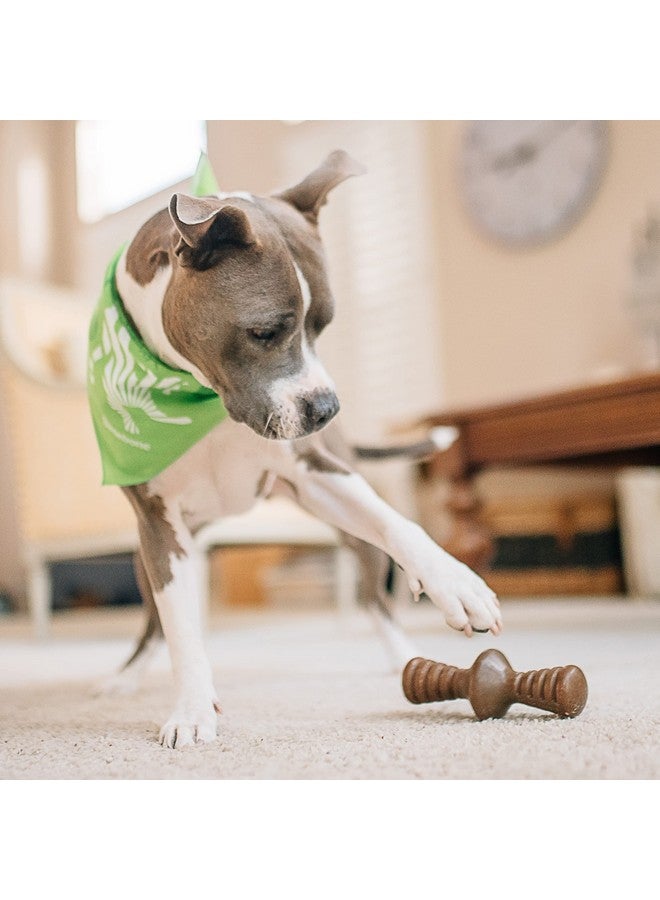 بينيبون مجموعة بينبون متوسطة الحجم من 4 قطع من ألعاب مضغ الكلاب للكلاب العدوانية، صُنعت في الولايات المتحدة الأمريكية، بوزن 60 رطلاً أو أقل - Image 4