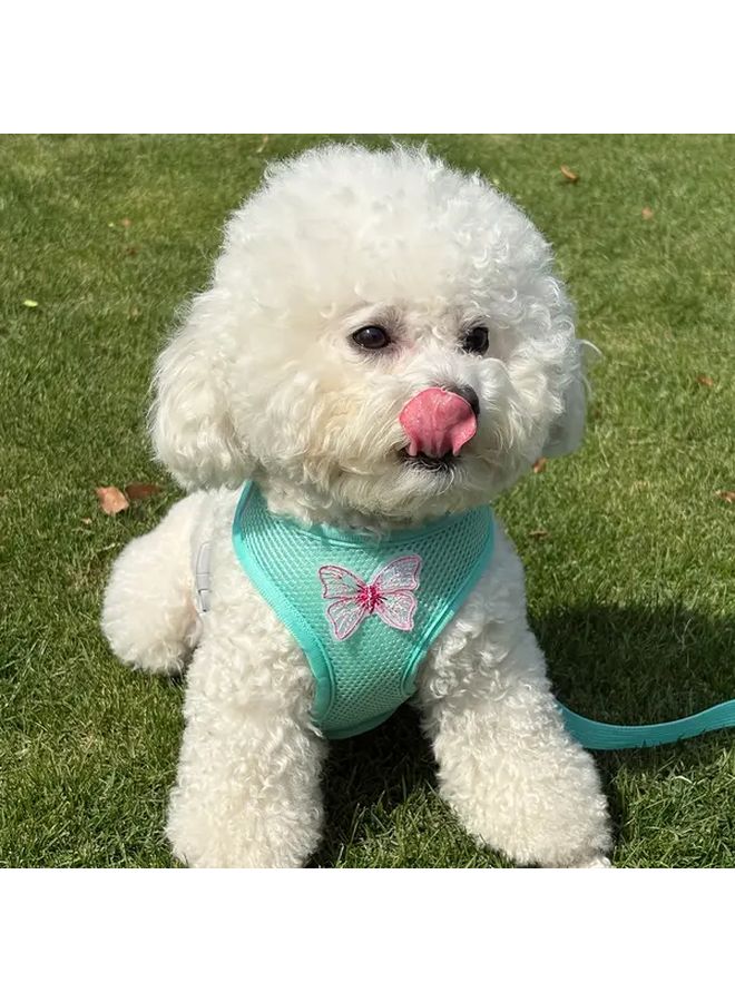 مجموعة هارنس ورباط الكلب الأخضر قابل للتعديل شبكي قابل للتنفس للحيوانات الأليفة الصغيرة والمتوسطة - Image 1