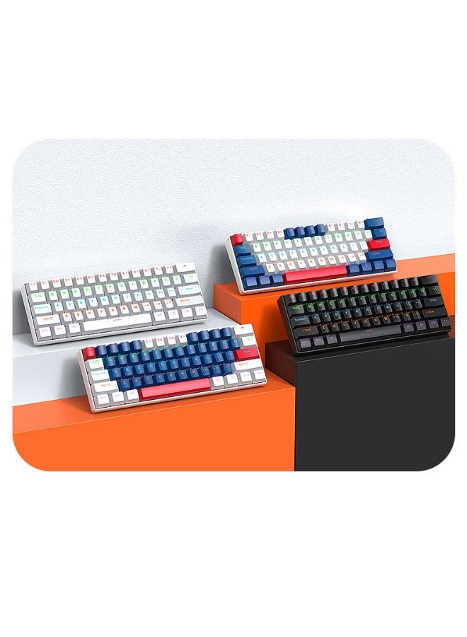 ت-WOLF T60 لوحة مفاتيح ميكانيكية - لوحة مفاتيح صغيرة محمولة ذات ألوان مزدوجة RGB تدعم الإزالة الساخنة - Image 2