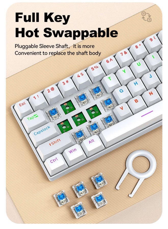 ت-WOLF T60 لوحة مفاتيح ميكانيكية - لوحة مفاتيح صغيرة محمولة ذات ألوان مزدوجة RGB تدعم الإزالة الساخنة - Image 4