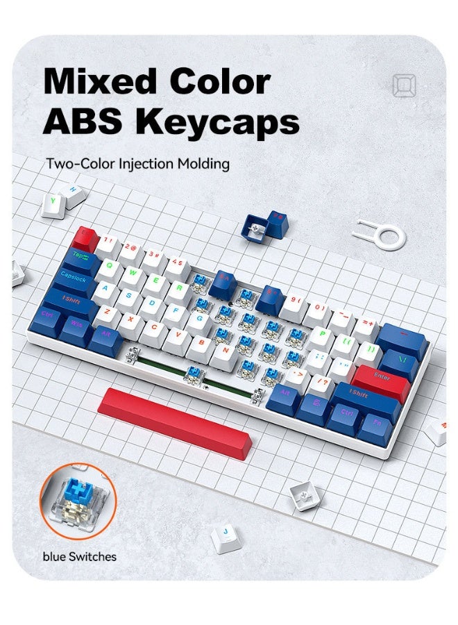 ت-WOLF T60 لوحة مفاتيح ميكانيكية - لوحة مفاتيح صغيرة محمولة ذات ألوان مزدوجة RGB تدعم الإزالة الساخنة - Image 5
