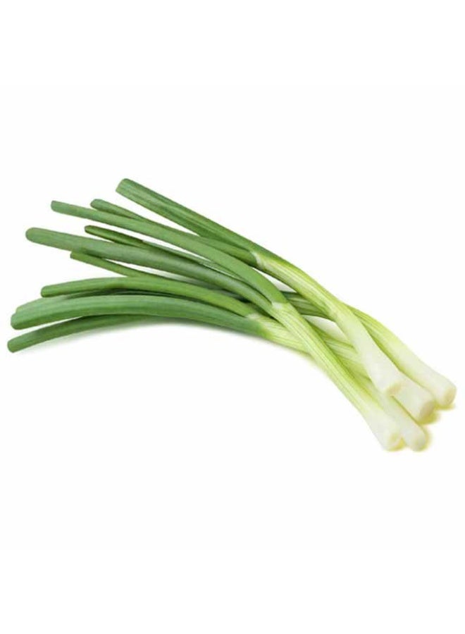 Spring Onions , 70g to 80g, UAE