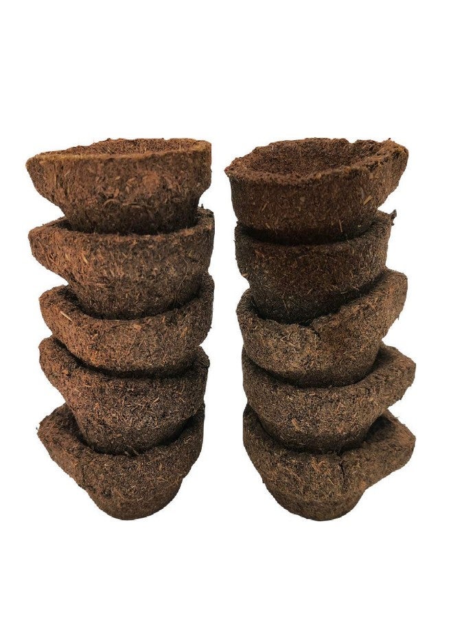 suvasane Natural Panchgavya Cow Dung Diyas_Set (24 Count) Panchagavya Gobar Diya/Vilakku/Deepa for Daily Puja, Festivals - Image 2