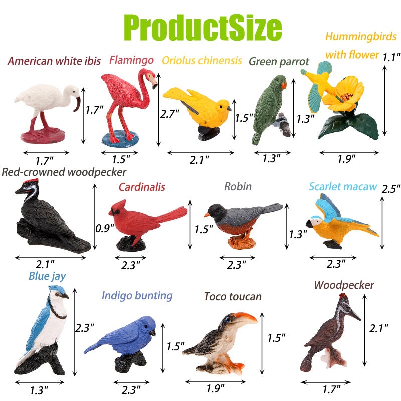 ZENFUN 29 Pieces Realistic Bird Animals Figurines, Mini Bird Model, Birds Cake Cupcake Topper, Parrot Figurine, Miniature Birds Animal Figure for Birthday Party Supply - Image 3