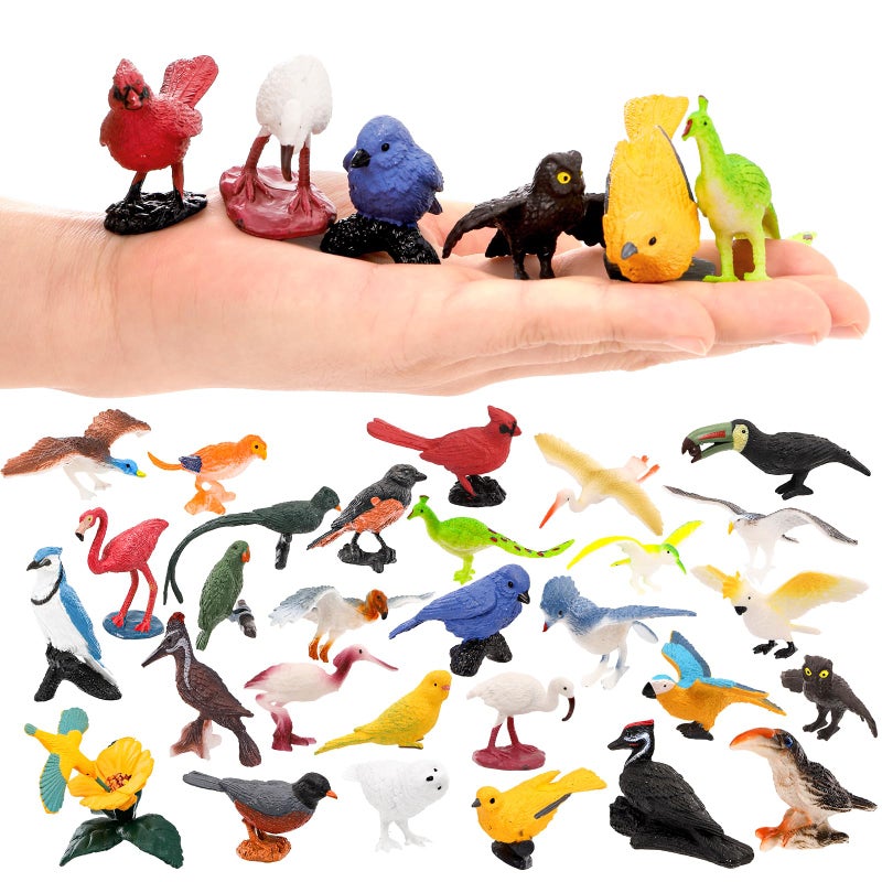 ZENFUN 29 Pieces Realistic Bird Animals Figurines, Mini Bird Model, Birds Cake Cupcake Topper, Parrot Figurine, Miniature Birds Animal Figure for Birthday Party Supply - Image 4