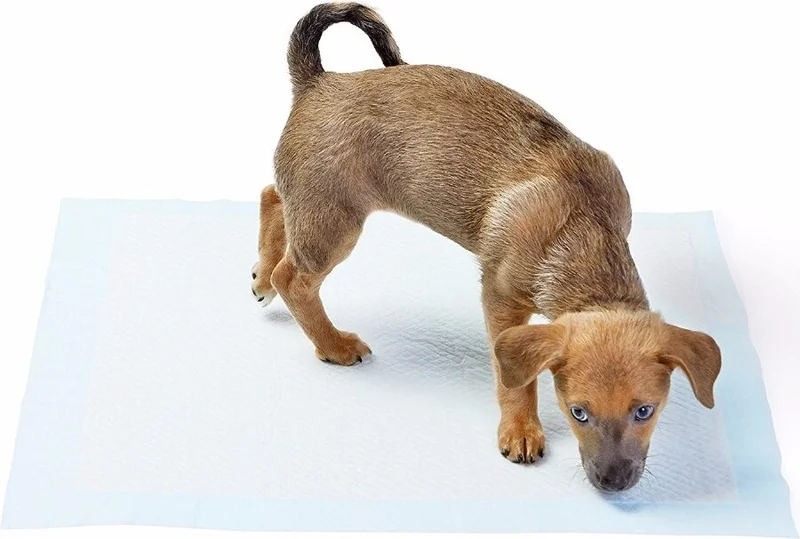 Rennway Washable Dog Pee Pad - 100 x 100 cm