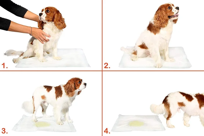 Rennway Washable Dog Pee Pad - 100 x 100 cm