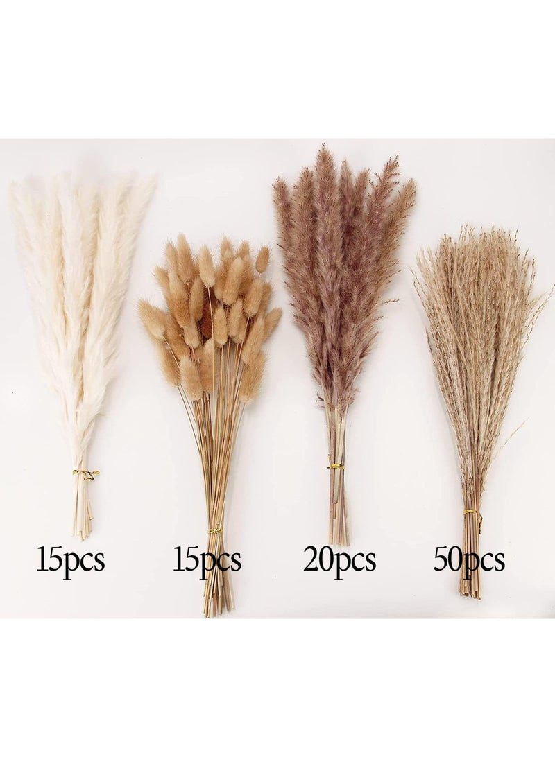 Generic 100 Pcs Small Reeds Cattail Reeds Dust Rabbit Tail Grass Natural Dried Flower Bouquet Pampas Grass Wedding Decoration Home Decoration Store Decoration Party Decoration  - Image 1