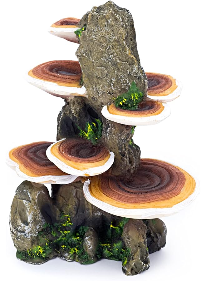 Penn Plax Deco Replicas Tree Trunk With Shelf Mushrooms Aquarium Decoration – Safe For Freshwater And Saltwater Fish Tanks – Medium - Image 1