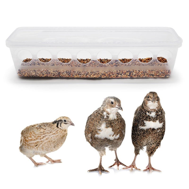 FOIBURELY Button Quail Transparent Feeder Flip Top Seed Food Container (8 Holes) - Image 1