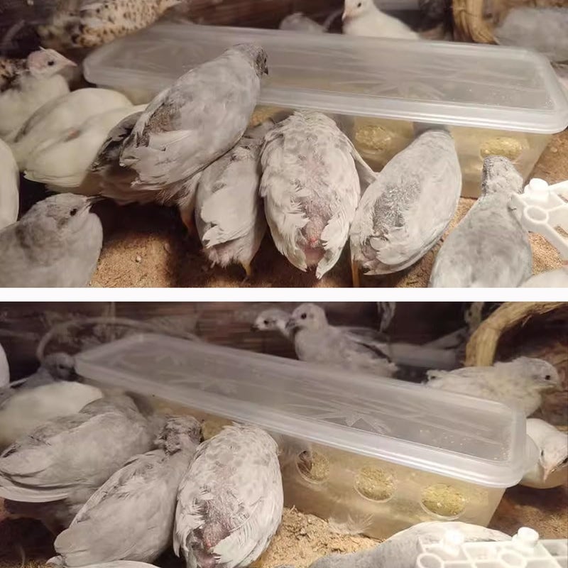 FOIBURELY Button Quail Transparent Feeder Flip Top Seed Food Container (8 Holes) - Image 5