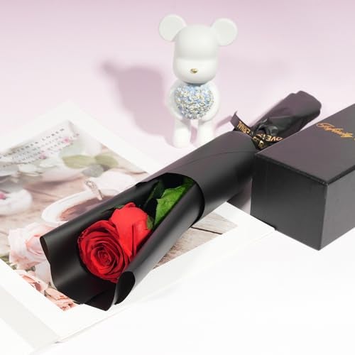 Yamonic Preserved Flowers Rose Gifts for Women Mom, Mothers Day Rose Flower Gifts for Mom, Forever Real Flowers Birthday Mom Gifts for Her, Grandma, Girlfriend, Wife Gifts for Anniversary (Red) - Image 4