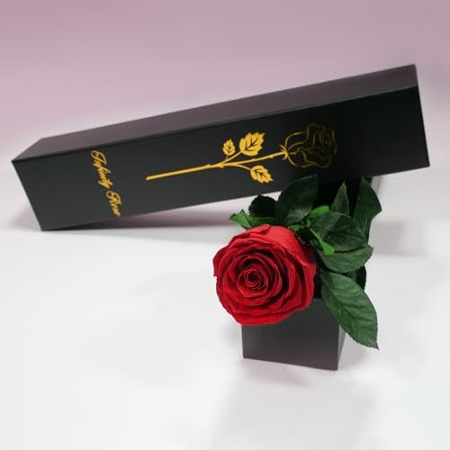 Yamonic Preserved Flowers Rose Gifts for Women Mom, Mothers Day Rose Flower Gifts for Mom, Forever Real Flowers Birthday Mom Gifts for Her, Grandma, Girlfriend, Wife Gifts for Anniversary (Red) - Image 2
