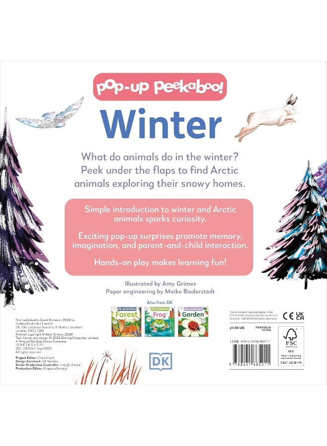 DK Pop-up Peekaboo! Winter: Pop-Up Surprise Under Every Flap!  - Image 5