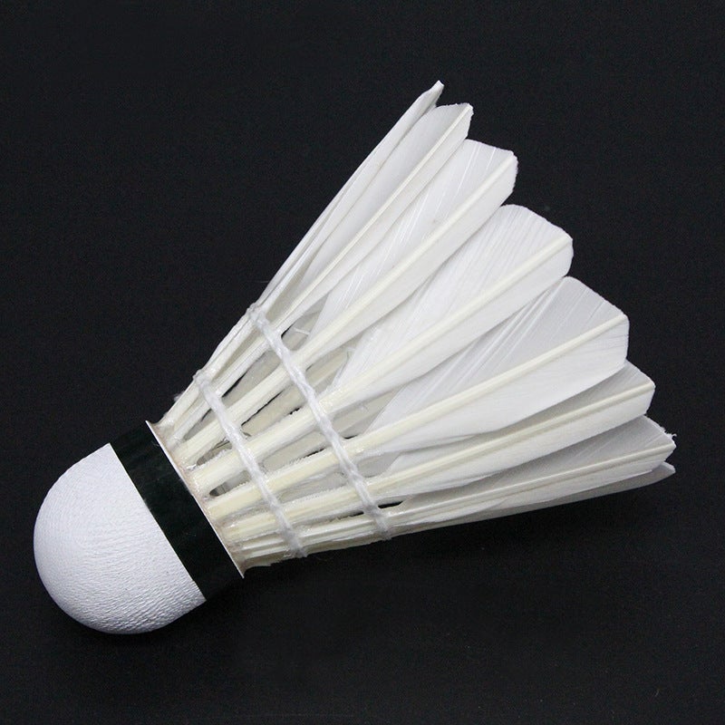 Generic Colorful LED Badminton Shuttlecocks Durable Night Play 505 white balls (two reds with lights + two green)