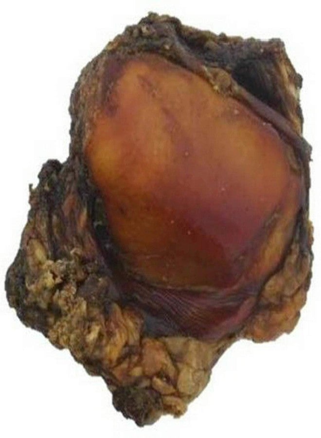 Jones New York Knee Caps Approximately 3 in. to 4 in. Each - Image 1