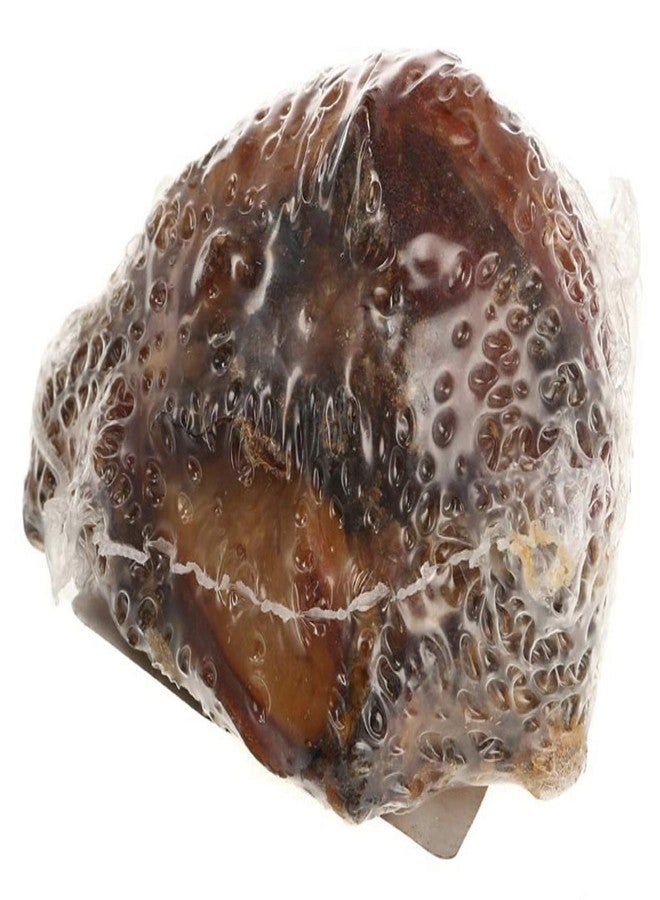 Jones New York Knee Caps Approximately 3 in. to 4 in. Each - Image 2