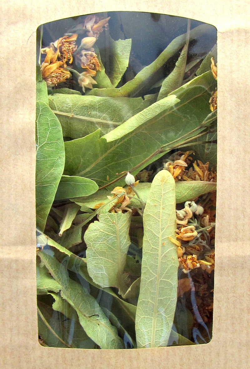 Chiron Kentavros Greek Organic Bio Herb Linden/Tilia from Mount Pelion Greece - GMO/Caffeine Free - Image 3