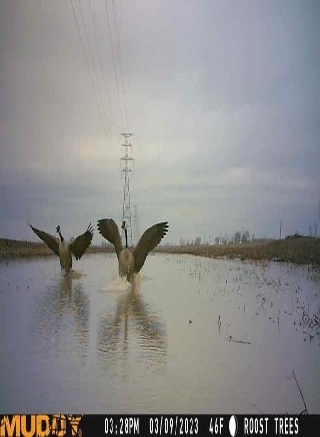 Muddy - Mitigator Cellular Camera / 24Mp / On-Demand Photo/Dual Network (MUD-MTGTR) - Image 5