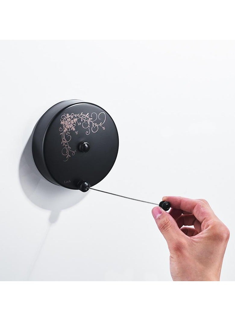 Loquat Stainless Steel Wall Mounted Clothes Line(Five Meter Punched European Black)