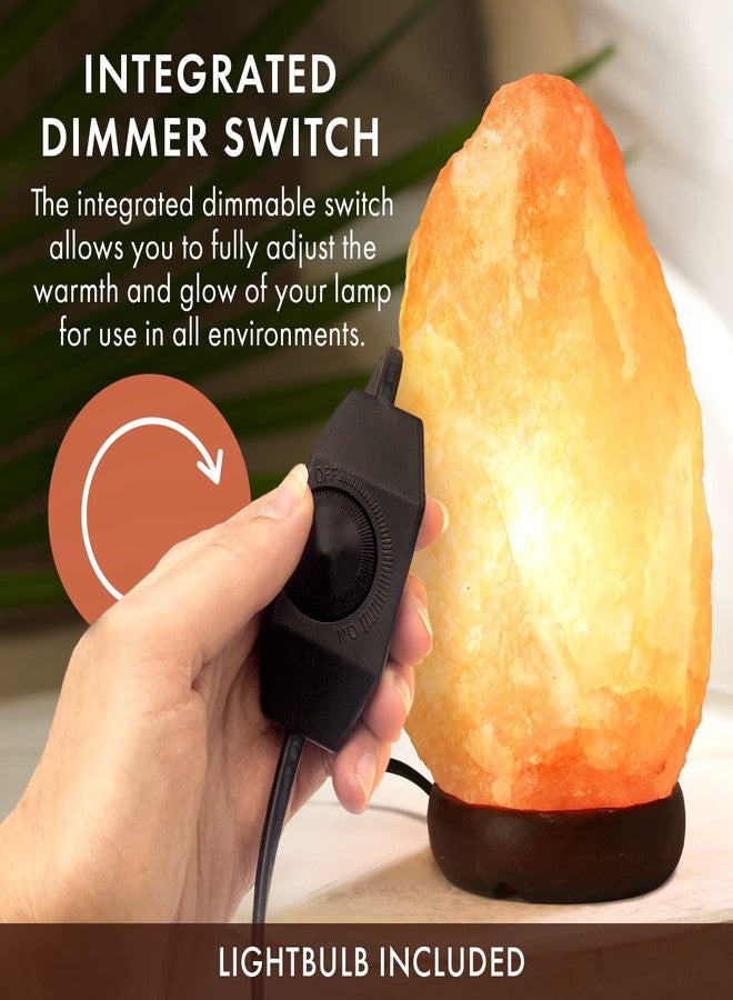 The Body Source Himalayan Salt Lamp | 8-10 in (7-11 lb) | Natural Salt Rock Lamp with Dimmer Switch & Wooden Base | Night Light & Bulb Replacement - Image 3