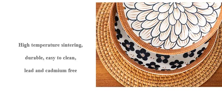 Agabani White and Blue Set of 14 Ceramic 4Bowl 2Plates 4Spoon and 4Chopsticks for Serving Snacks Dessert Pasta Soups and Salads Dishwasher Microwave Oven Safe for Dining - Image 2