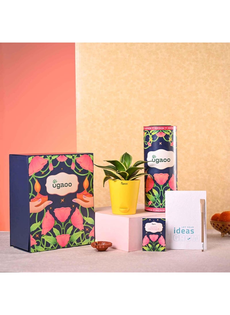 Ugaoo UGAOO Diwali Gift Hamper with Snake Plant Plantable Diary and Pen Gifts that Grow  - Image 1