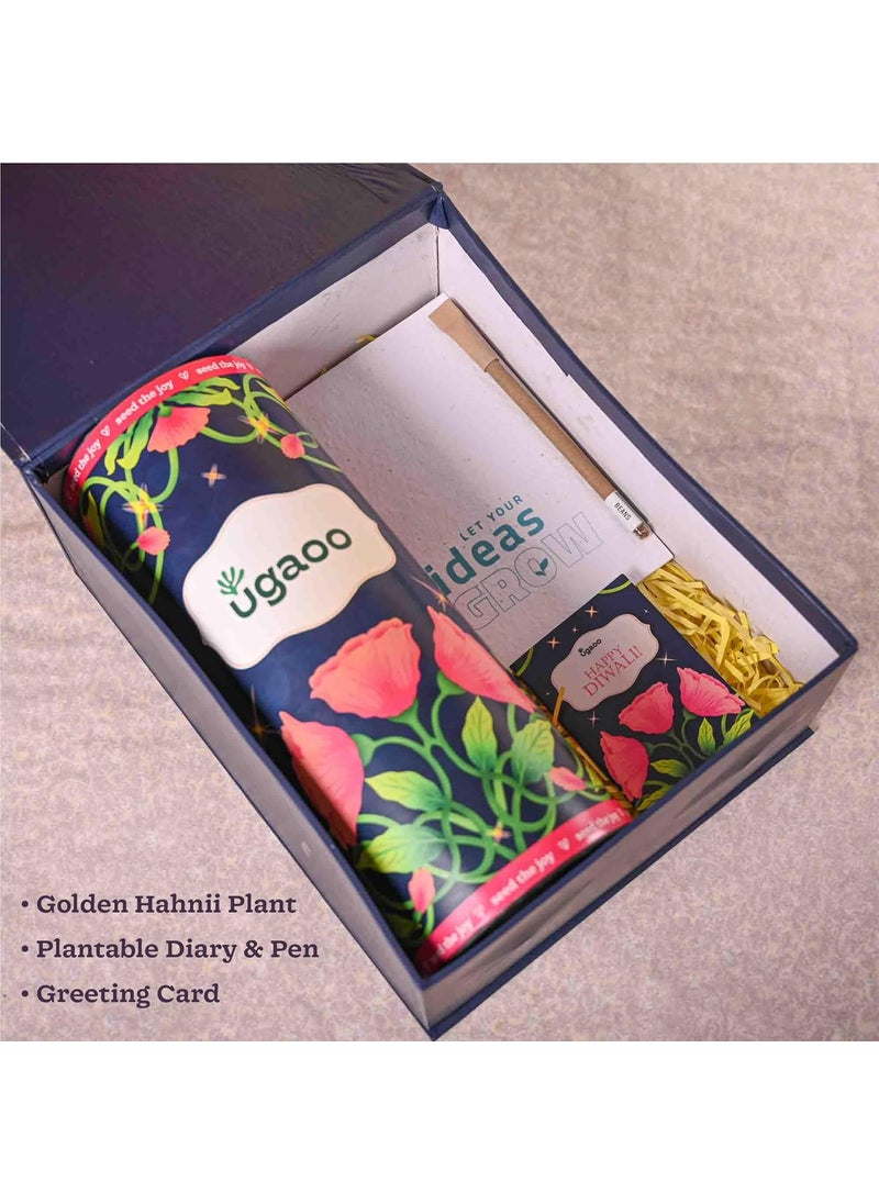 Ugaoo UGAOO Diwali Gift Hamper with Snake Plant Plantable Diary and Pen Gifts that Grow  - Image 4