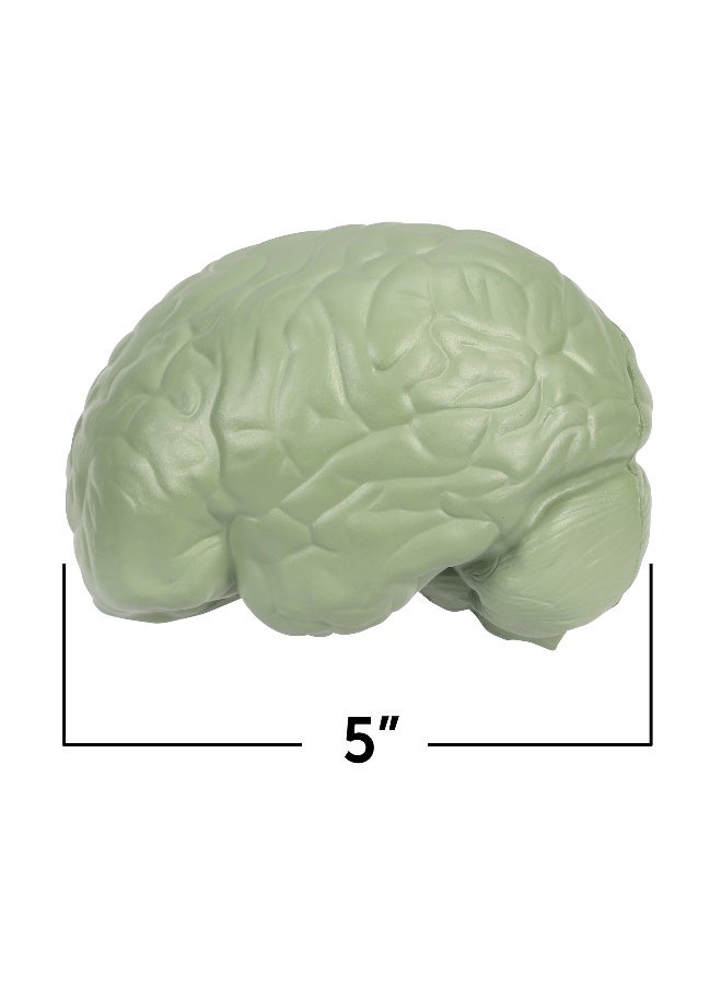 ليرننج ريسورسز نموذج مقطعي لدماغ الإنسان من Learning Resources، لعبة تعليمية تشريحية من الإسفنج الناعم مقاس 13 سم، مفصلة بشكل واقعي مع جوانب مُسمّاة وجوانب للتقييم الذاتي، تتضمن دليل أنشطة، لعبة علمية تعليمية للأعمار من 7 سنوات فما فوق - Image 3