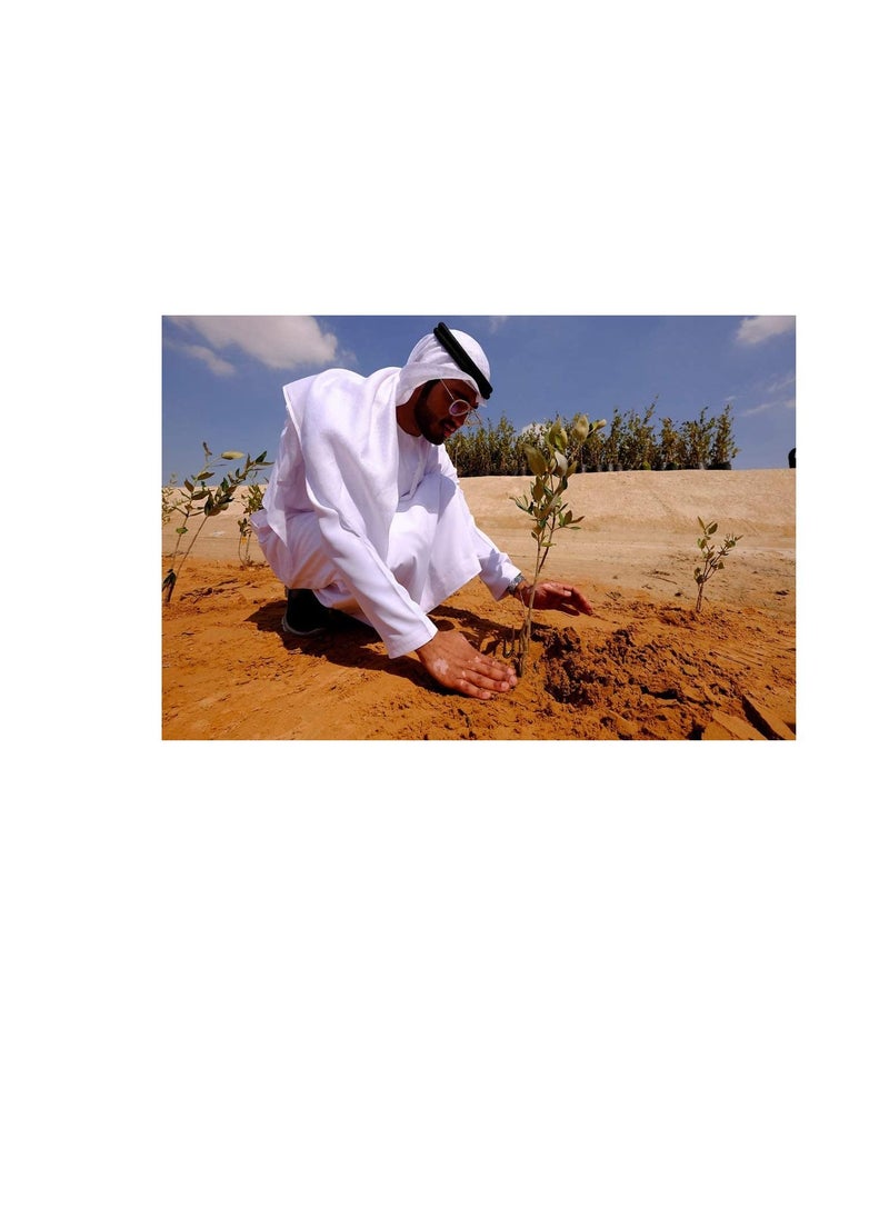 SUCCESS Organic Fertilizer Pellet Form MOCCAE Approved 25 kgs No.1 Choice of Organic Growers  - Image 2