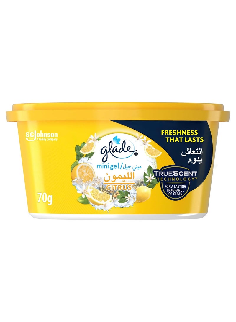 جليد معطر جو جل صغير برائحة الحمضيات للاستخدامات المتعددة ينعش أي غرفة 70 جرام - Image 1