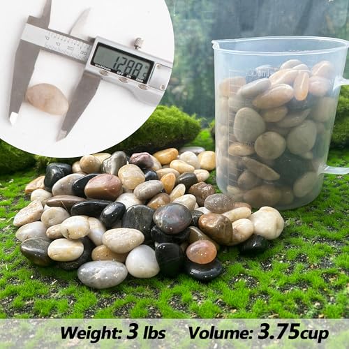 CJGQ Pebbles for Plants 3 lb Natural Garden Decorative Stone Outdoor Aquariums Gravel 1-1.5 Inches - Image 2