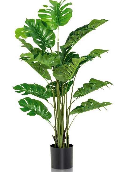 Artificial Tree Monstera Camel Foot Tree 180 cm 16 Leaves - pzsku/Z7FE3C24CF8D77DAC8D1EZ/45/_/1725725177/42a1f06a-baf3-4e42-8e8d-d76029e5bbf9