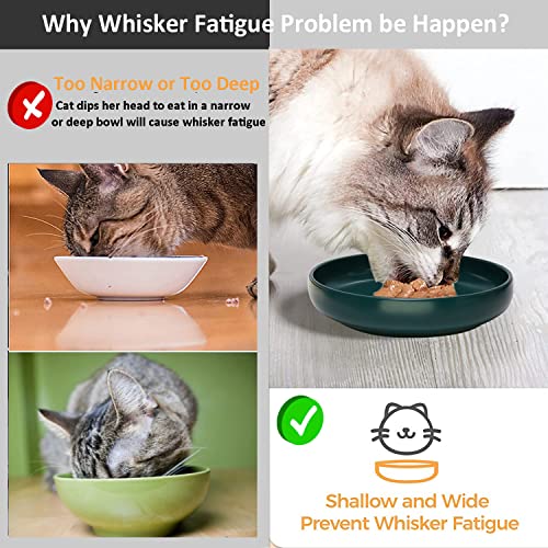 Lfpkixise Ceramic Cat Bowls,Shallow Cat Dishes for Food and Water, 6 inch Matte Finish Wide Cat Food Bowl,Whisker Fatigue Free Pet Puppy Kitten Bowl Set of 3,Dishwasher Safe - Image 5