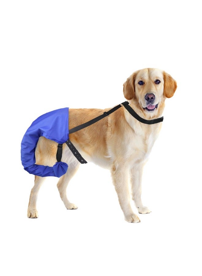 vomvomp Dog Tail Guard Dogs Tail Protector Bag Dogs Tails Heal Sleeve With Velcro For Dog Happy Tail Syndrome Happy Tail Solution - Image 1