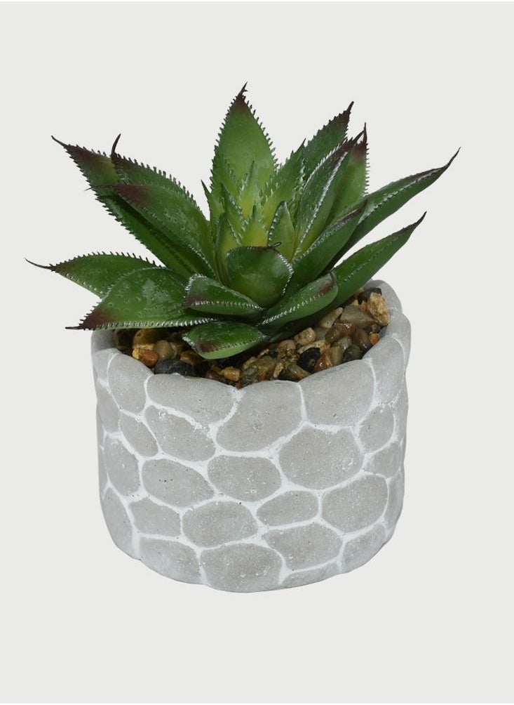 DRAMA HOME Artificial Succulent Potted Plant Green/Grey  - Image 1