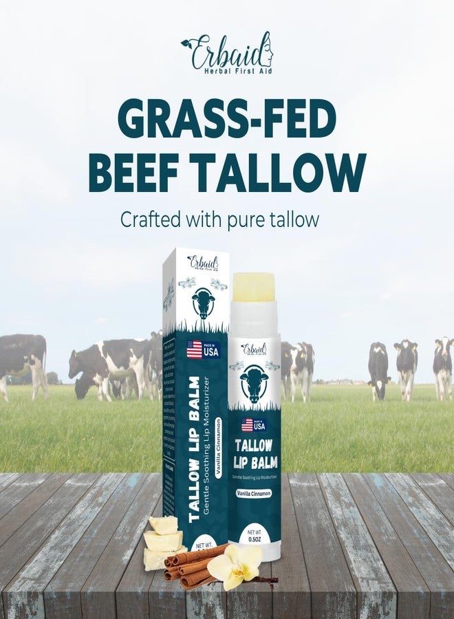 Erbaid Beef Tallow Lip Balm - Natural Tallow Beeswax Chapstick - Hydrating Moisturizer Grass Fed Bison Tallow Balm Lip Care - Soothes Chapped, Dry Lips, Sensitive Skin - Long Lasting & Vitamin Rich USA-Made - Image 2