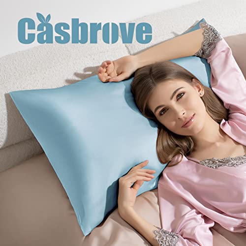 Casbrove Silk Pillowcase for Hair and Skin Mulberry Silk Pillowcase Soft Breathable Smooth Both Sided Natural Silk Pillowcase with Zipper Beauty Sleep Silk Pillow Case 1 Pack for Gift(Standard,Baby Blue) - Image 3